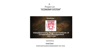 A
Project on
“ECONOMY SYSTEM”
Submitted by
Sanket Pawar
PGDM AGRI BUSINESS MANAGEMENT 2017-2019
 