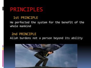 Economic system of islam | PPTX