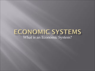 What is an Economic System? 