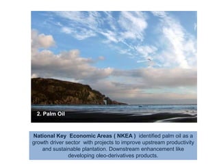 2. Palm OilNational Key  Economic Areas ( NKEA )  identified palm oil as a growth driver sector  with projects to improve upstream productivity and sustainable plantation. Downstream enhancement like developing oleo-derivatives products.  