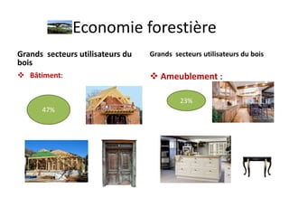 Economie-Forestière (1).pptx