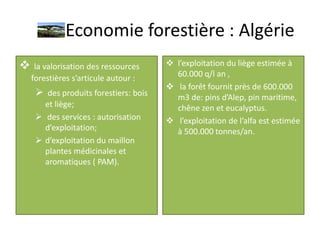 Economie-Forestière (1).pptx