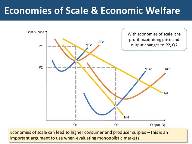 Economies And Diseconomies Of Scale