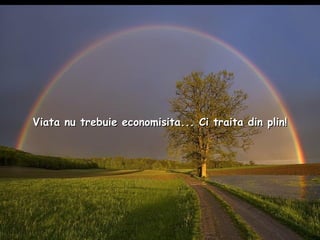 Viata nu trebuie economisita... Ci traita din plin! 