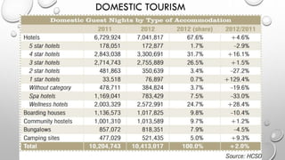 DOMESTIC TOURISM
 
