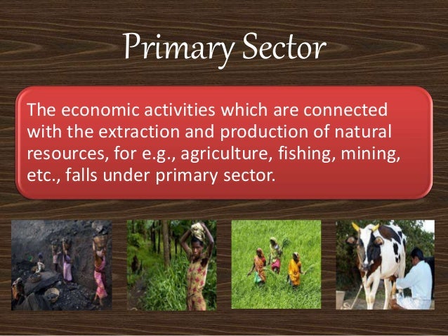 Economy