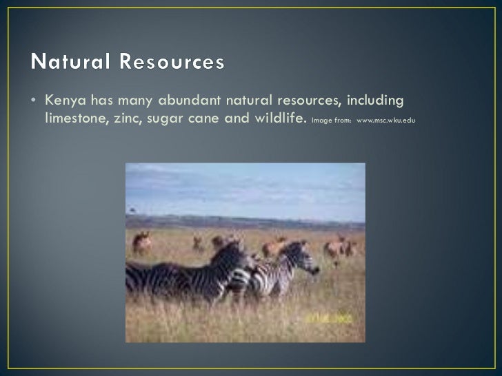 Economy and natural resources of kenya