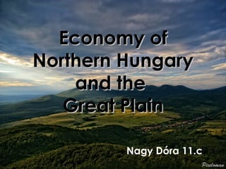 Economy of
Northern Hungary
    and the
   Great Plain

         Nagy Dóra 11.c
 