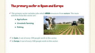 Economy of spain and europe