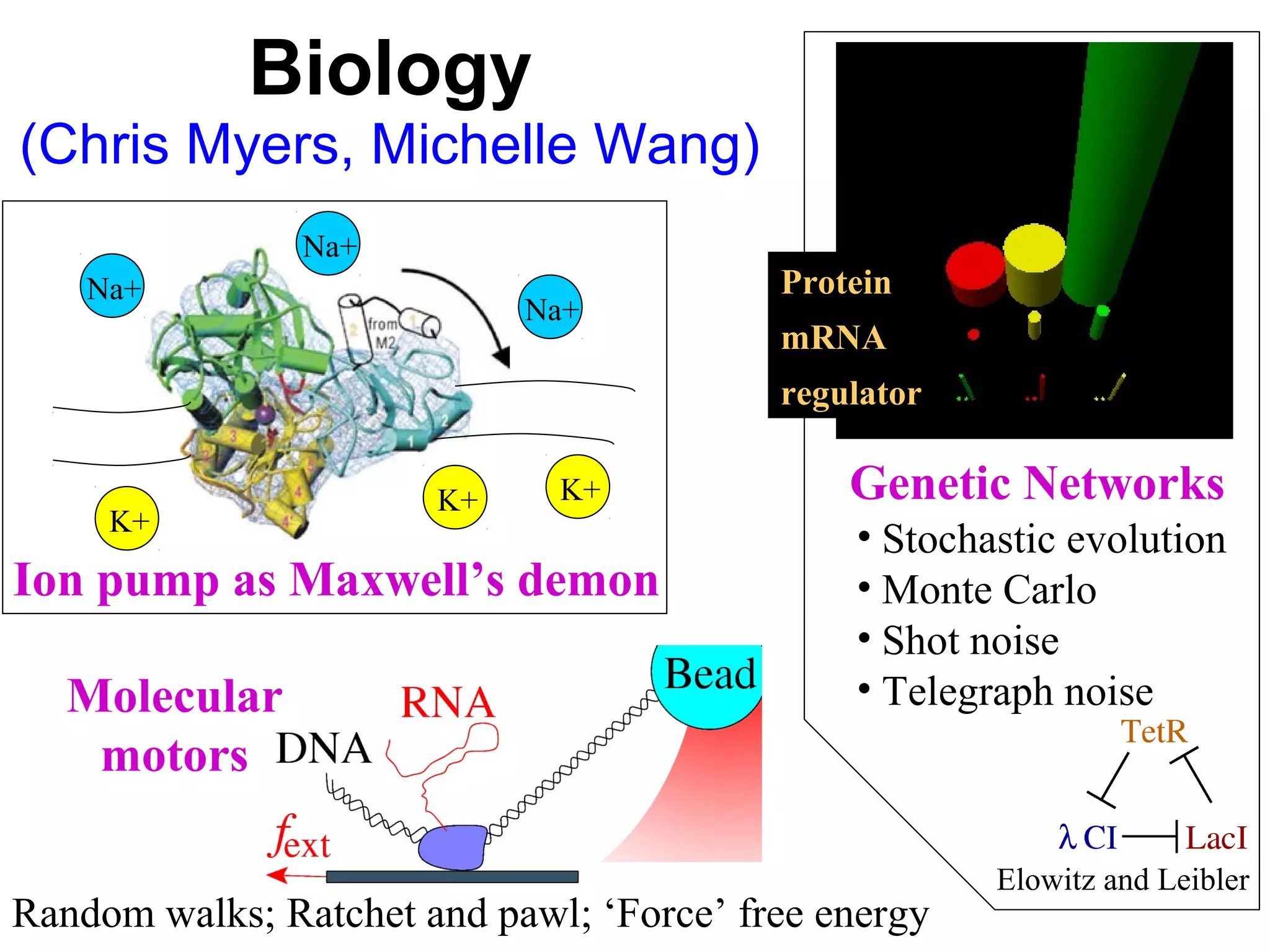 Biology
(Chris Myers, Michelle Wang)
Random walks; Ratchet and pawl; ‘Force’ free energy
Molecular
motors
Ion pump as Maxwell’s demon
Na+
Na+
Na+
K+
K+
K+ Genetic Networks
• Stochastic evolution
• Monte Carlo
• Shot noise
• Telegraph noise
Protein
mRNA
regulator
Elowitz and Leibler
 
