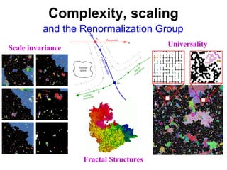 Complexity, scaling
and the Renormalization Group
Scale invariance
Fractal Structures
Universality
 