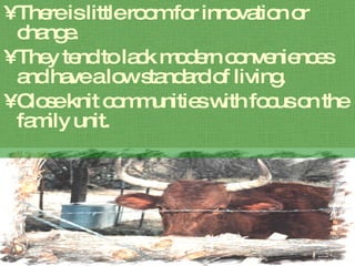 There is little room for innovation or change.  They tend to lack modern conveniences and have a low standard of living. Close knit communities with focus on the family unit. 