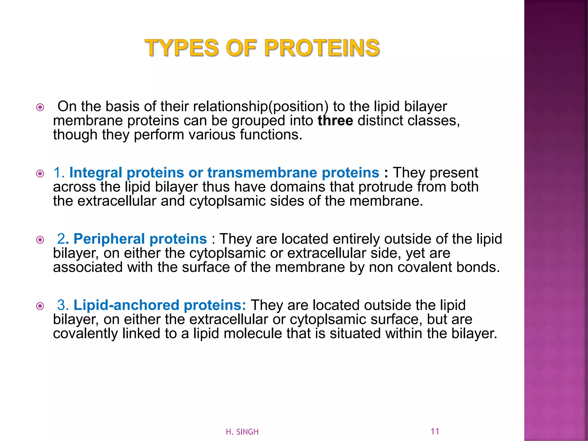  On the basis of their relationship(position) to the lipid bilayer
membrane proteins can be grouped into three distinct classes,
though they perform various functions.
 1. Integral proteins or transmembrane proteins : They present
across the lipid bilayer thus have domains that protrude from both
the extracellular and cytoplsamic sides of the membrane.
 2. Peripheral proteins : They are located entirely outside of the lipid
bilayer, on either the cytoplsamic or extracellular side, yet are
associated with the surface of the membrane by non covalent bonds.
 3. Lipid-anchored proteins: They are located outside the lipid
bilayer, on either the extracellular or cytoplsamic surface, but are
covalently linked to a lipid molecule that is situated within the bilayer.
11H. SINGH
 