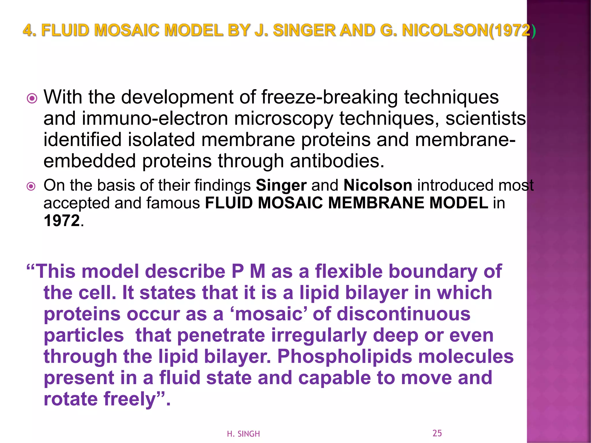  With the development of freeze-breaking techniques
and immuno-electron microscopy techniques, scientists
identified isolated membrane proteins and membrane-
embedded proteins through antibodies.
 On the basis of their findings Singer and Nicolson introduced most
accepted and famous FLUID MOSAIC MEMBRANE MODEL in
1972.
“This model describe P M as a flexible boundary of
the cell. It states that it is a lipid bilayer in which
proteins occur as a ‘mosaic’ of discontinuous
particles that penetrate irregularly deep or even
through the lipid bilayer. Phospholipids molecules
present in a fluid state and capable to move and
rotate freely”.
25H. SINGH
 