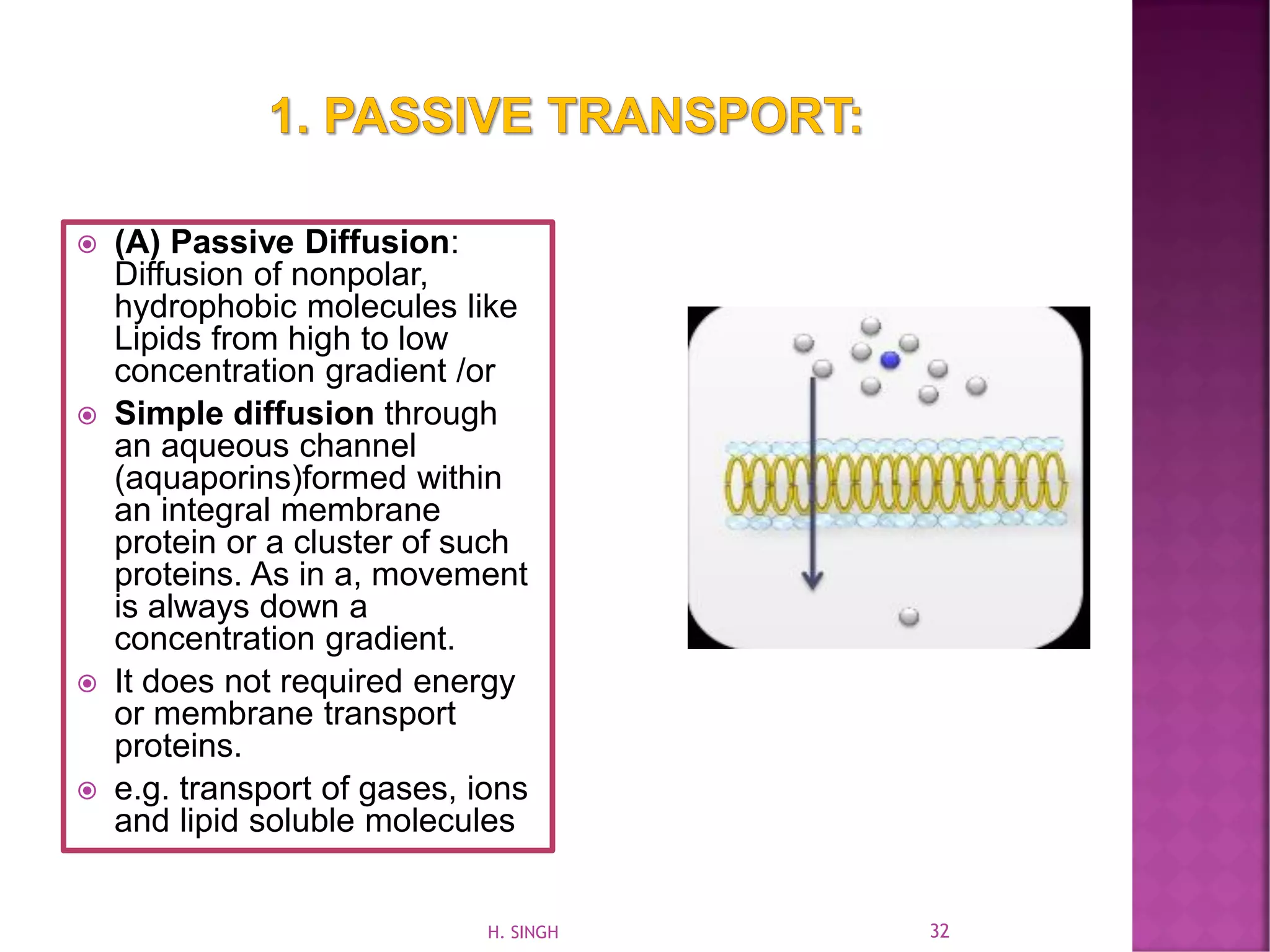  (A) Passive Diffusion:
Diffusion of nonpolar,
hydrophobic molecules like
Lipids from high to low
concentration gradient /or
 Simple diffusion through
an aqueous channel
(aquaporins)formed within
an integral membrane
protein or a cluster of such
proteins. As in a, movement
is always down a
concentration gradient.
 It does not required energy
or membrane transport
proteins.
 e.g. transport of gases, ions
and lipid soluble molecules
32H. SINGH
 