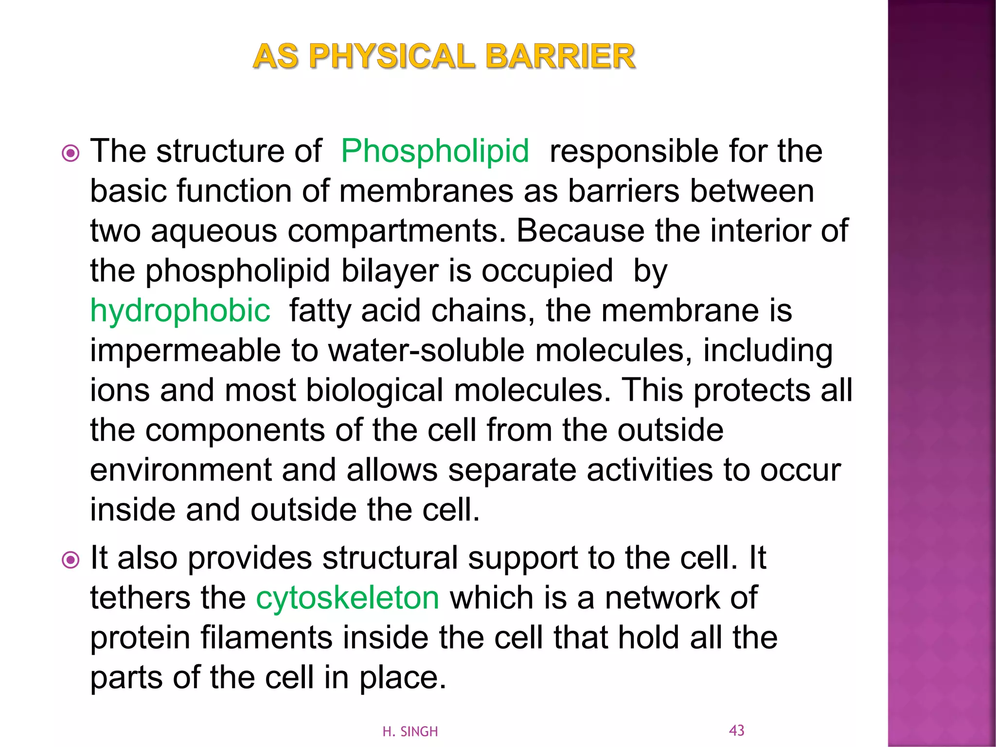  The structure of Phospholipid responsible for the
basic function of membranes as barriers between
two aqueous compartments. Because the interior of
the phospholipid bilayer is occupied by
hydrophobic fatty acid chains, the membrane is
impermeable to water-soluble molecules, including
ions and most biological molecules. This protects all
the components of the cell from the outside
environment and allows separate activities to occur
inside and outside the cell.
 It also provides structural support to the cell. It
tethers the cytoskeleton which is a network of
protein filaments inside the cell that hold all the
parts of the cell in place.
43H. SINGH
 