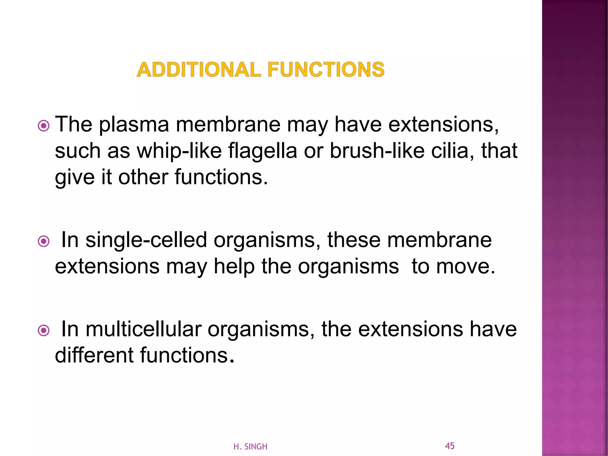  The plasma membrane may have extensions,
such as whip-like flagella or brush-like cilia, that
give it other functions.
 In single-celled organisms, these membrane
extensions may help the organisms to move.
 In multicellular organisms, the extensions have
different functions.
45H. SINGH
 