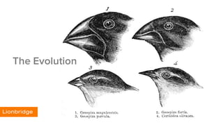 The Evolution
 