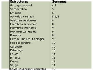 Estructuras
Saco gestacional
Saco vitelino
Embrión
Actividad cardíaca
Vesículas cerebrales
Miembros superiores
Miembros inferiores
Movimientos fetales
Placenta
Hernia umbilical fisiológica
Hoz del cerebro
Cerebelo
Estómago
Calota
Riñones
Dedos
Vejiga
Cavid cardíacas y Genitales
Semanas
4,5
5
6
5 1/2
8
8
9
9
9
9
10
10
10
11
11
11
11
13
 