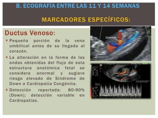 Ductus Venoso:
 Pequeña porción de la vena
umbilical antes de su llegada al
corazón.
 La alteración en la forma de las
ondas obtenidas del flujo de esta
estructura anatómica fetal se
considera anormal y sugiere
riesgo elevado de Síndrome de
Down o Cardiopatía Congénita.
 Detección reportada: 80-90%
(Down); detección variable en
Cardiopatías.
MARCADORES ESPECÍFICOS:
 