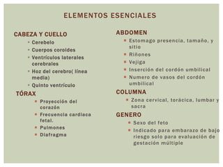 ELEMENTOS ESENCIALES
CABEZA Y CUELLO
 Cerebelo
 Cuerpos coroides
 Ventrículos laterales
cerebrales
 Hoz del cerebro( línea
media)
 Quinto ventrículo
TÓRAX
 Proyección del
corazón
 Frecuencia cardiaca
fetal.
 Pulmones
 Diafragma
ABDOMEN
 Estomago presencia, tamaño, y
sitio
 Riñones
 Vejiga
 Inserción del cordón umbilical
 Numero de vasos del cordón
umbilical
COLUMNA
 Zona cervical, torácica, lumbar y
sacra
GENERO
 Sexo del feto
 Indicado para embarazo de bajo
riesgo solo para evaluación de
gestación múltiple
 