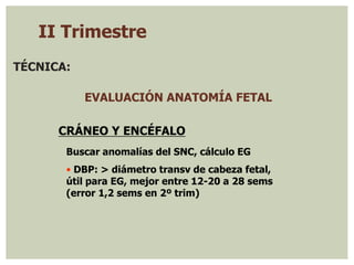 TÉCNICA:
EVALUACIÓN ANATOMÍA FETAL
CRÁNEO Y ENCÉFALO
Buscar anomalías del SNC, cálculo EG
• DBP: > diámetro transv de cabeza fetal,
útil para EG, mejor entre 12-20 a 28 sems
(error 1,2 sems en 2º trim)
II Trimestre
 