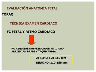 EVALUACIÓN ANATOMÍA FETAL
TORAX
TÉCNICA EXAMEN CARDIACO
20 SEMS: 120-160 lpm
TÉRMINO: 110-150 lpm
NO REQUIERE DOPPLER COLOR, UTIL PARA
ARRITMIAS, BRADI Y TAQUICARDIA
FC FETAL Y RITMO CARDIACO
 