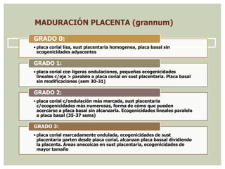 MADURACIÓN PLACENTA (grannum)
• placa corial lisa, sust placentaria homogenea, placa basal sin
ecogenicidades adyacentes
GRADO 0:
• placa corial con ligeras ondulaciones, pequeñas ecogenicidades
lineales c/eje > paralelo a placa corial en sust placentaria. Placa basal
sin modificaciones (sem 30-31)
GRADO 1:
• placa corial c/ondulación más marcada, sust placentaria
c/ecogenicidades más numerosas, forma de cómo que pueden
acercarse a placa basal sin alcanzarla. Ecogenicidades lineales paralelo
a placa basal (35-37 sems)
GRADO 2:
• placa corial marcadamente ondulada, ecogenicidades de sust
placentaria parten desde placa corial, alcanzan placa bassal dividiendo
la placenta. Áreas anecoicas en sust placentaria, ecogenicidades de
mayor tamaño
GRADO 3:
 