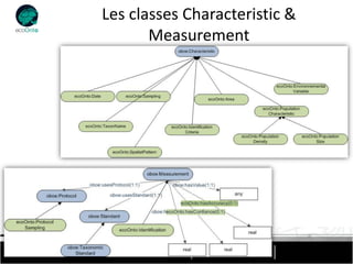 Les classes Characteristic &
       Measurement
 