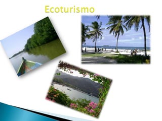 Ecoturismo