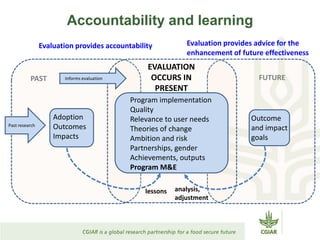 The role of evaluation in a Monitoring, Evaluation, and Impact ...