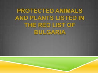 PROTECTED ANIMALS
AND PLANTS LISTED IN
THE RED LIST OF
BULGARIA

 