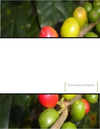 Eco parque el Espino.
 