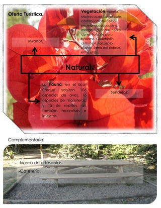 Vegetación: canelo,
Oferta Turística.                     Madrecacao, Laurel, jiote,
                                      caimito, amate, ceiba,
                                      pepeto, guayaba, pino,
                                      mango, aguacate, cedro,
                                      cipres, fruta de pan,
                                      bálsamo. Guachipilín,
         Mirador.
                                      chilindrón, nacaspilo,
                                      ujushte, llama del bosque,
                                      entre otros.




                              Natural       .
                   La Fauna, en el Eco-
                   Parque habitan 106
                                                        Senderos.
                   especies de aves, 16
                   especies de mamíferos,
                   y 15 de reptiles, así
                   también mariposas e
                   insectos.




Complementaria:




     -kiosco de artesanías,

     -Cafetería.
 