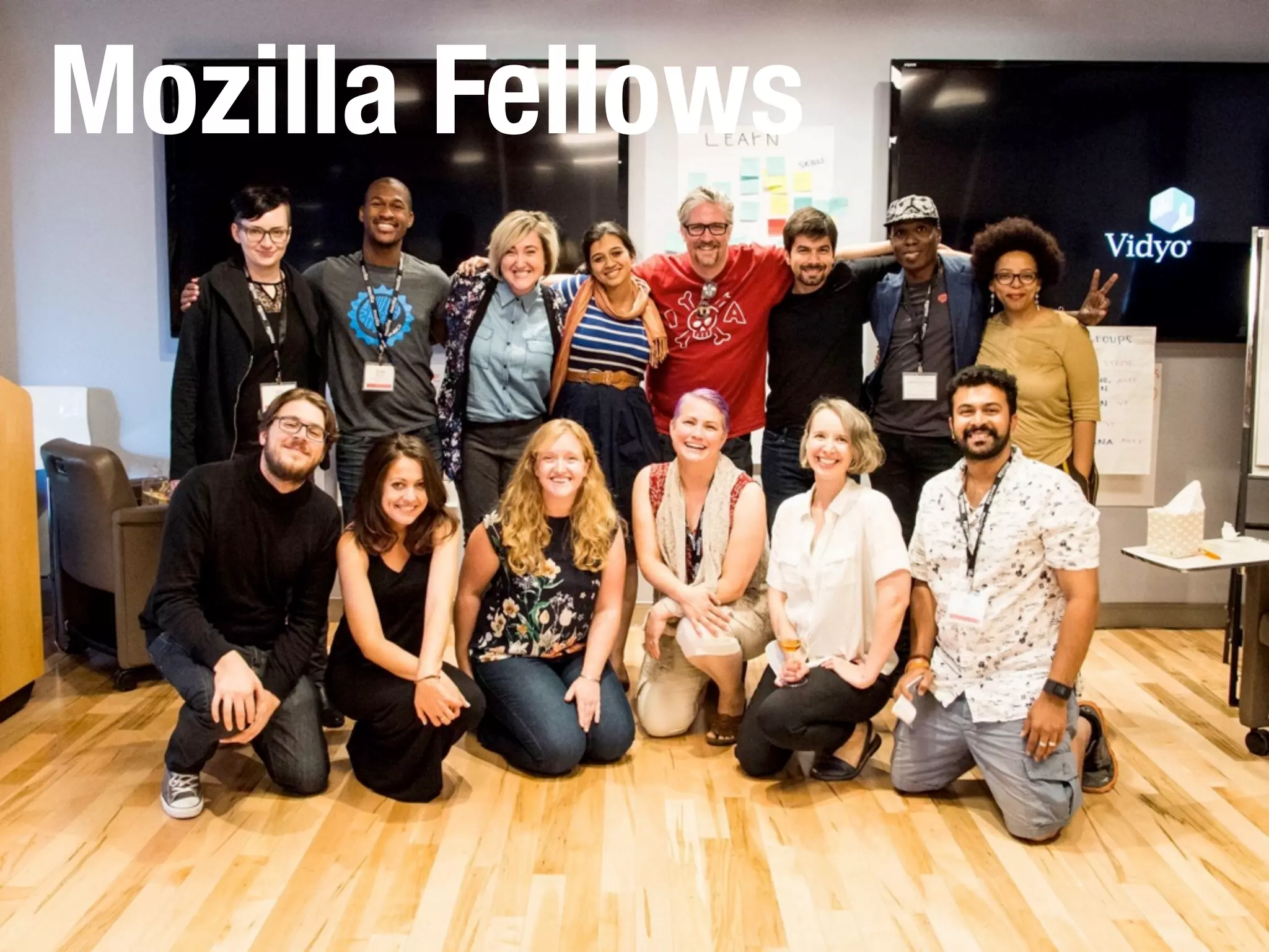 Mozilla Fellows
 