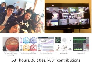 53+ hours, 36 cities, 700+ contributions
 