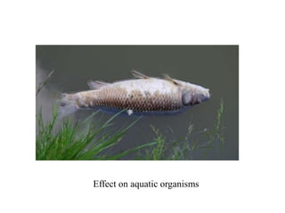 Effect on aquatic organisms
 