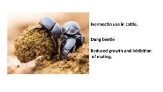 Ivermectin use in cattle.
Dung beetle
Reduced growth and inhibition
of mating.
 