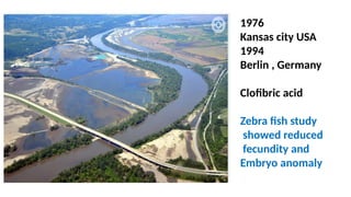 1976
Kansas city USA
1994
Berlin , Germany
Clofibric acid
Zebra fish study
showed reduced
fecundity and
Embryo anomaly
 