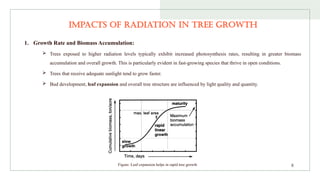 Tree Rayonism Ecophysiology of Tree Growth - Bhuvaneshwaran P.pptx