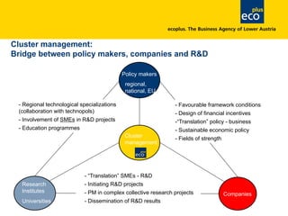 Companies
Research
Institutes
Universities
Cluster management:
Bridge between policy makers, companies and R&D
- Regional technological specializations
(collaboration with technopols)
- Involvement of SMEs in R&D projects
- Education programmes
- Favourable framework conditions
- Design of financial incentives
-“Translation” policy - business
- Sustainable economic policy
- Fields of strength
Policy makers
regional,
national, EU
Cluster
management
- “Translation” SMEs - R&D
- Initiating R&D projects
- PM in complex collective research projects
- Dissemination of R&D results
 