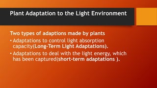 Adaptation Energy Ecopphysiology, plant biomes, and weather | PPTX
