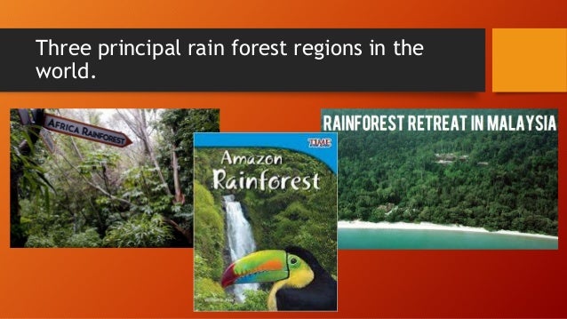 Tropical forest plant ecophysiology