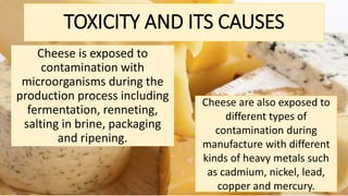TOXICITY AND ITS CAUSES
Cheese is exposed to
contamination with
microorganisms during the
production process including
fermentation, renneting,
salting in brine, packaging
and ripening.
Cheese are also exposed to
different types of
contamination during
manufacture with different
kinds of heavy metals such
as cadmium, nickel, lead,
copper and mercury.
 