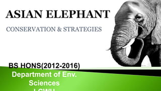 CONSERVATION & STRATEGIES
BS HONS(2012-2016)
Department of Env.
Sciences
 