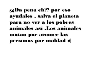 ¿¿Da pena eh?? por eso
ayudales , salva el planeta
para no ver a los pobres
animales así .Los animales
matan par acomer las
personas por maldad :(
