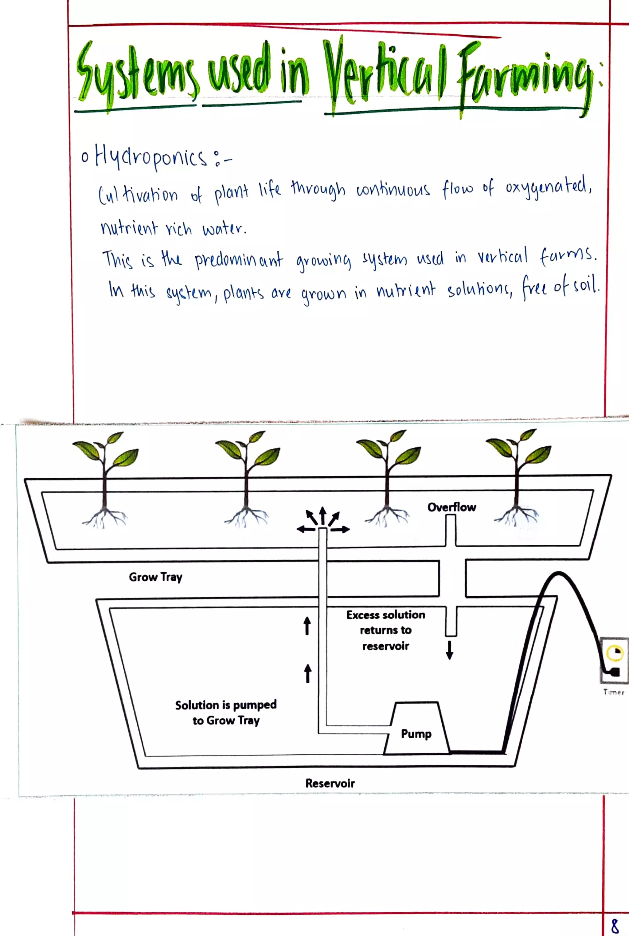 Eco Project class 12 on Vertical Farming.