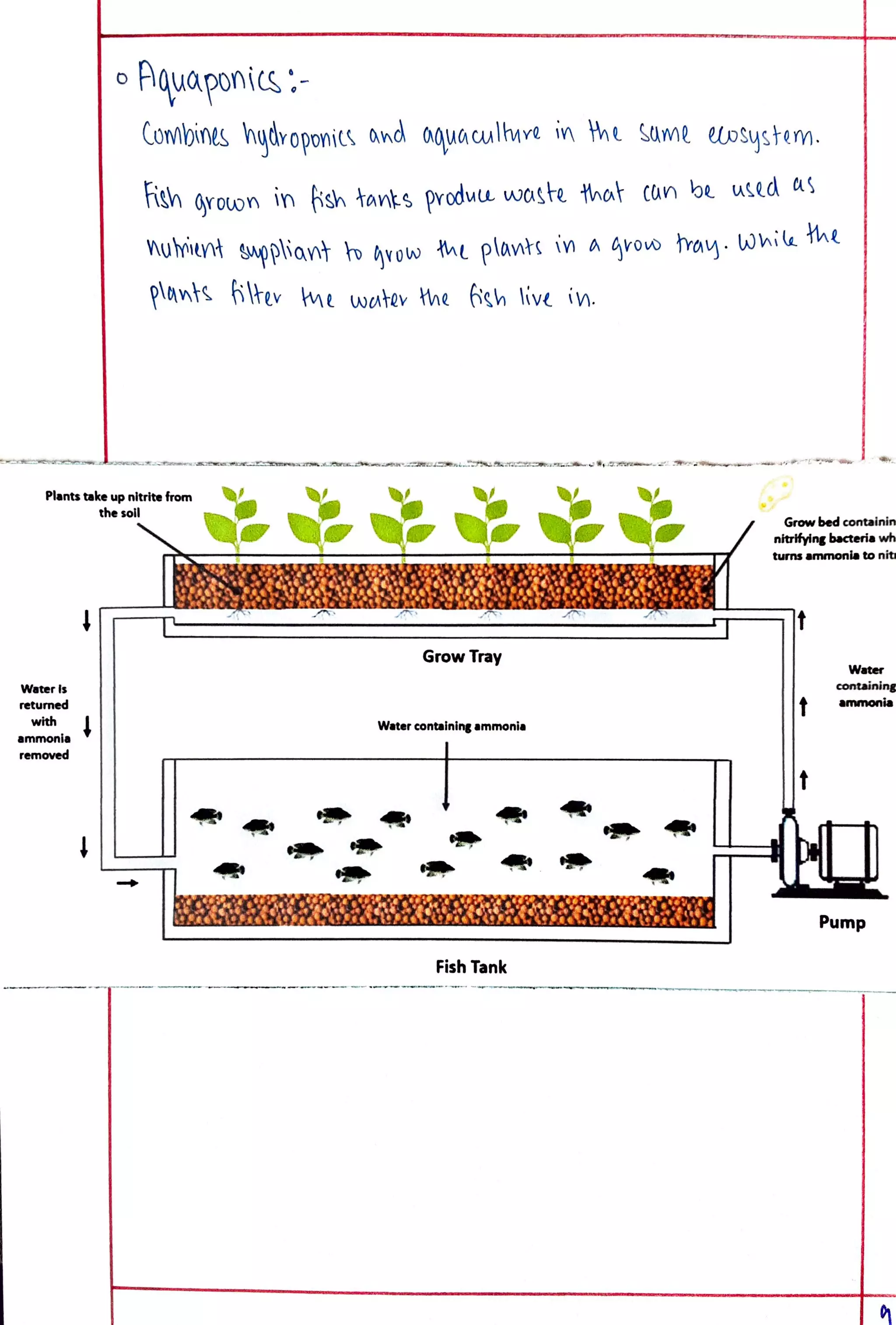 Eco Project class 12 on Vertical Farming.