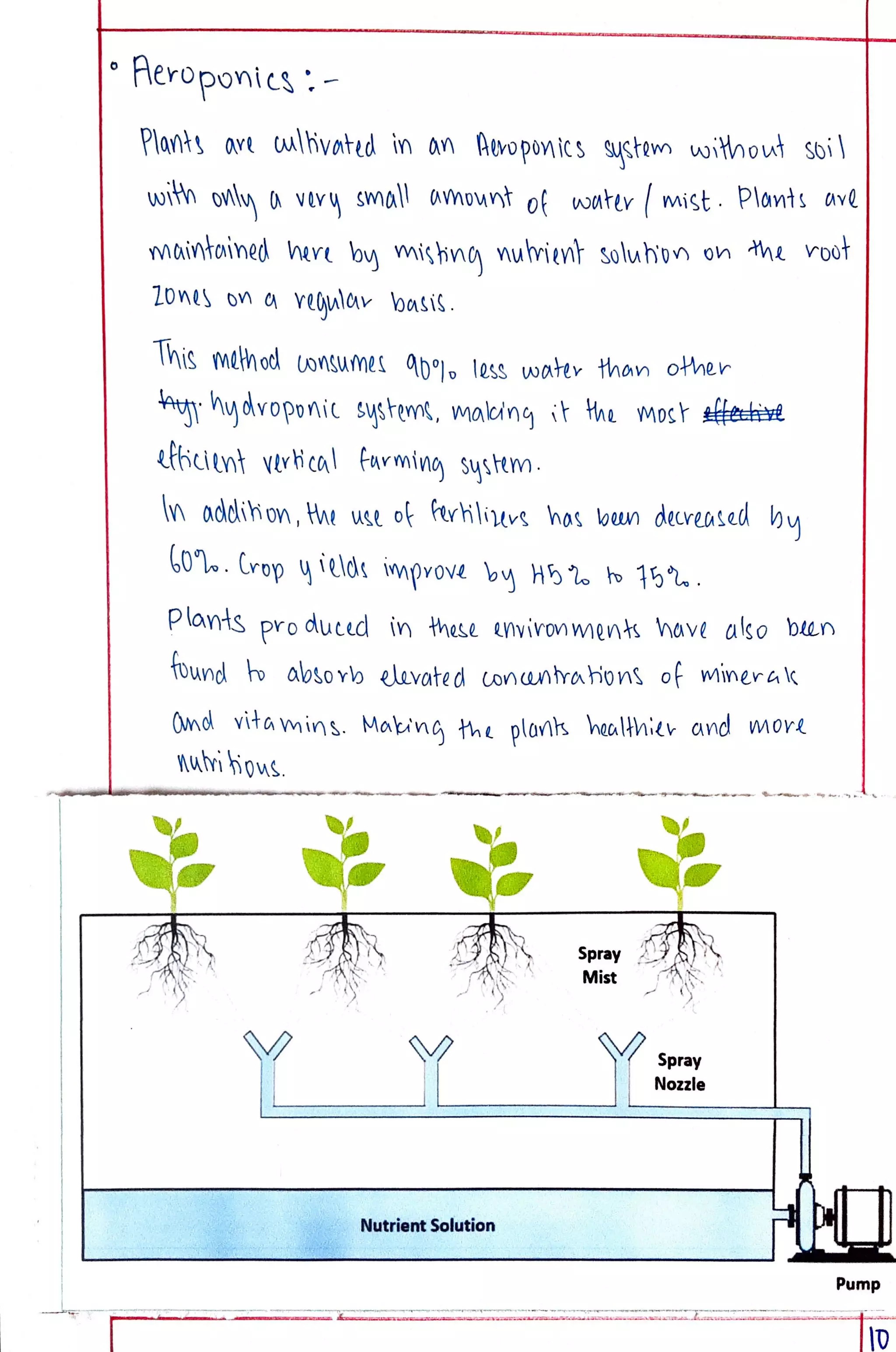 Eco Project class 12 on Vertical Farming.