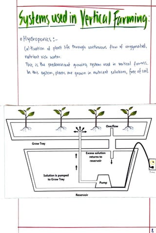 Eco Project class 12 on Vertical Farming. | PDF